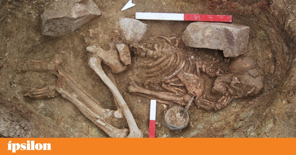 Estas mulheres que viveram no Alentejo há 3500 anos foram sepultadas com armas