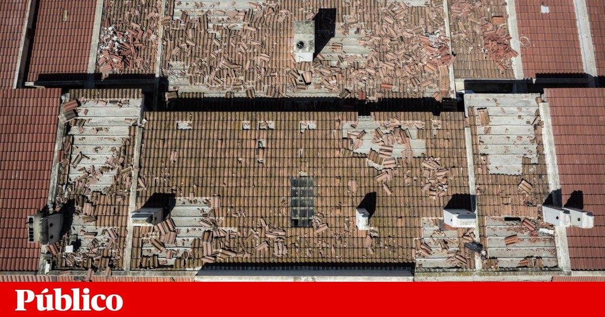 Fundação Jerónimo Martins vai reconstruir lares, creches e edifícios destruídos pela tempestade