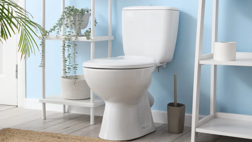 Calcário e mofo, nunca mais! 8 truques que deixam o seu WC a brilhar