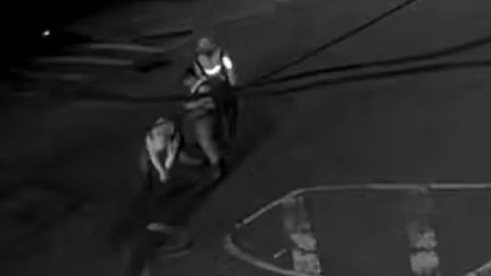 Tartarugas Ninja em Nova Iorque? O que se passa nos esgotos da cidade?
