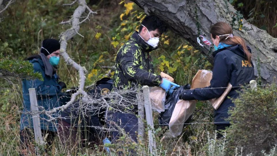 Hantavírus: Argentina alarga análise de roedores a mais uma província