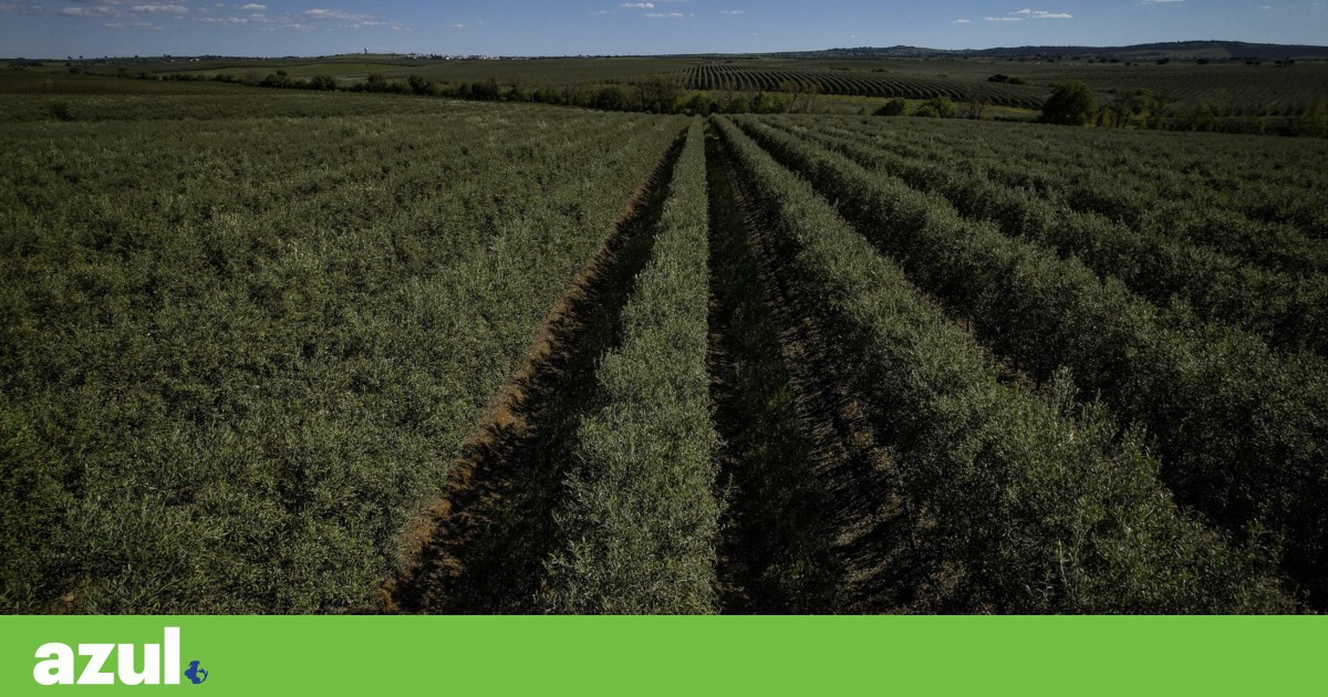 Uso do solo compromete objectivos de desenvolvimento sustentável na Europa