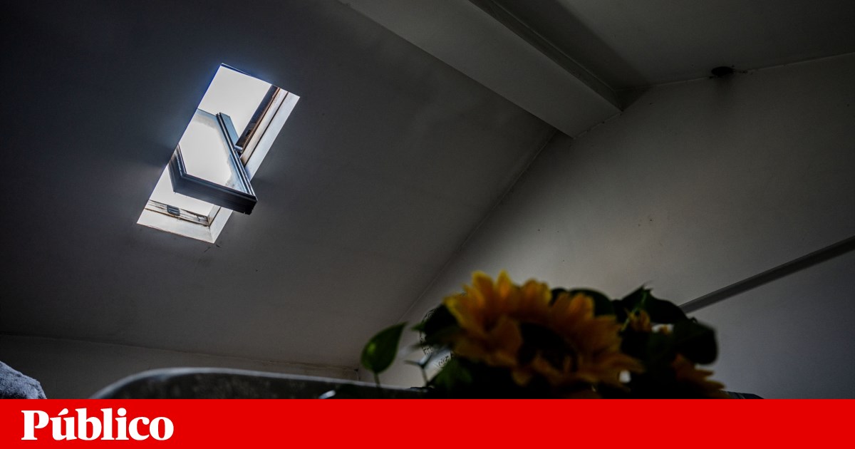 Rede Europeia Anti-Pobreza receia que trabalho social da PSU aumente estigma sobre pobres