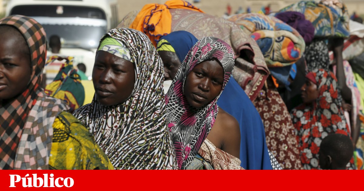 Boko Haram liberta centenas de mulheres e crianças sequestradas em Ngoshe