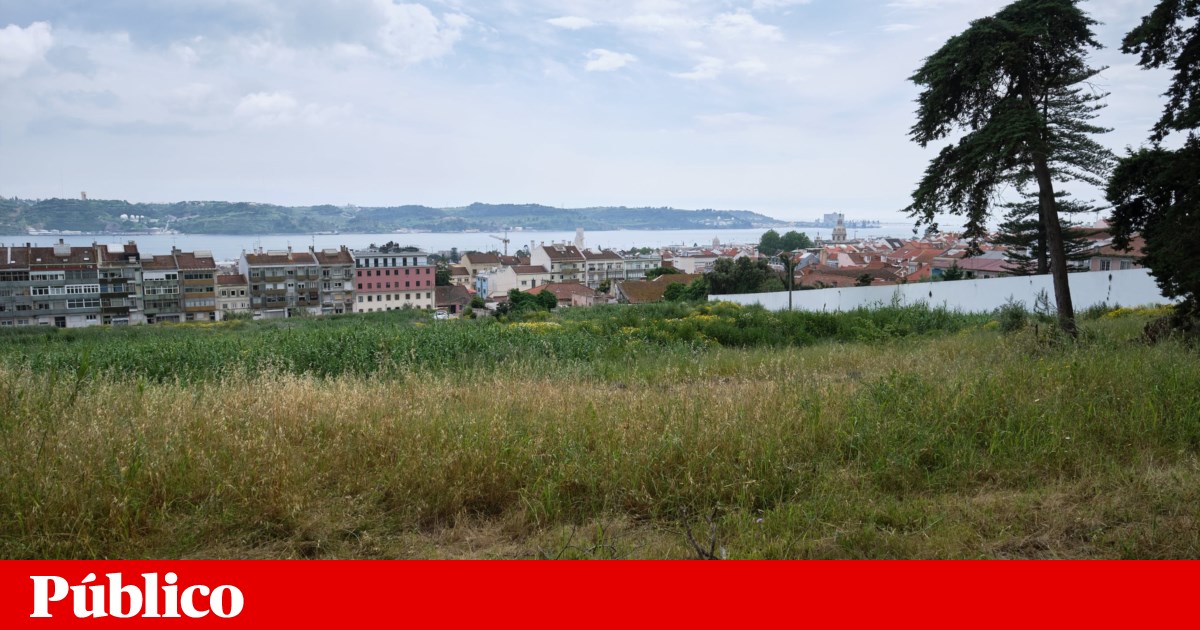 Lisboa acaba com gabinete que planeava zonas verdes e questionava opções urbanísticas