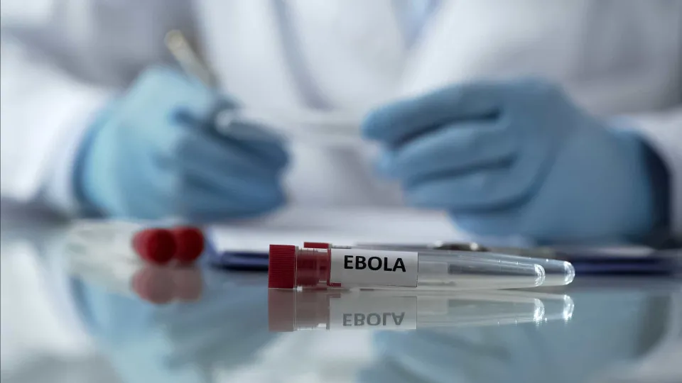 OMS reduz o risco de Ébola para a maior parte do continente africano