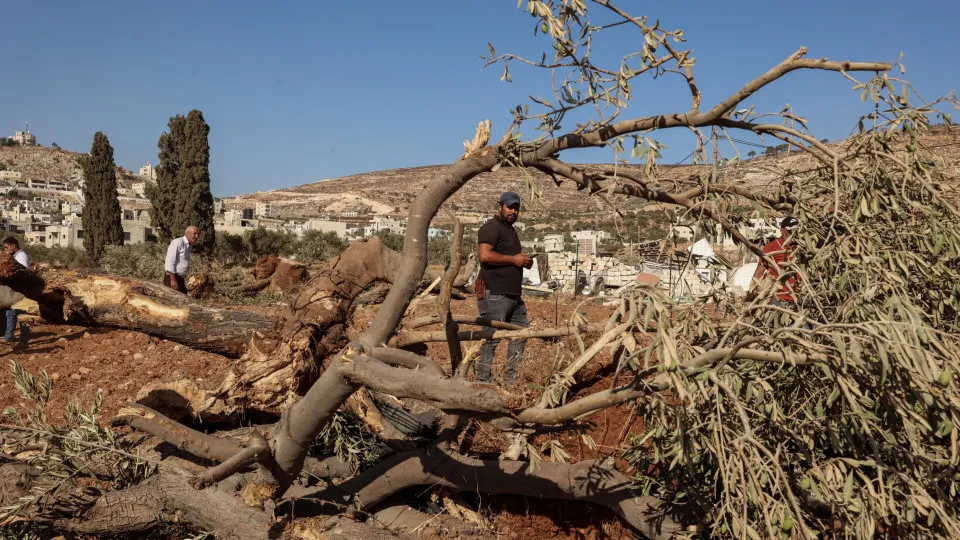 Cinco países anunciam sanções contra colonos israelitas violentos