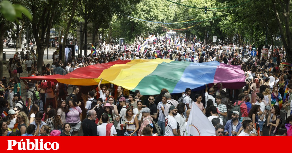 Identidade de género: PSD quer lei até ao Verão, mas ainda não há acordo sobre audições