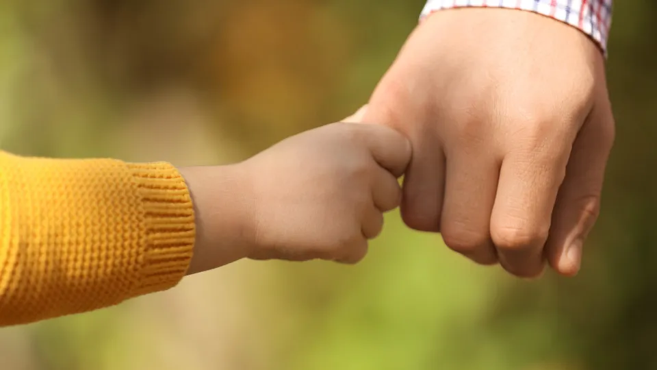Comissões de menores detetam seis casos de trabalho infantil em 2025
