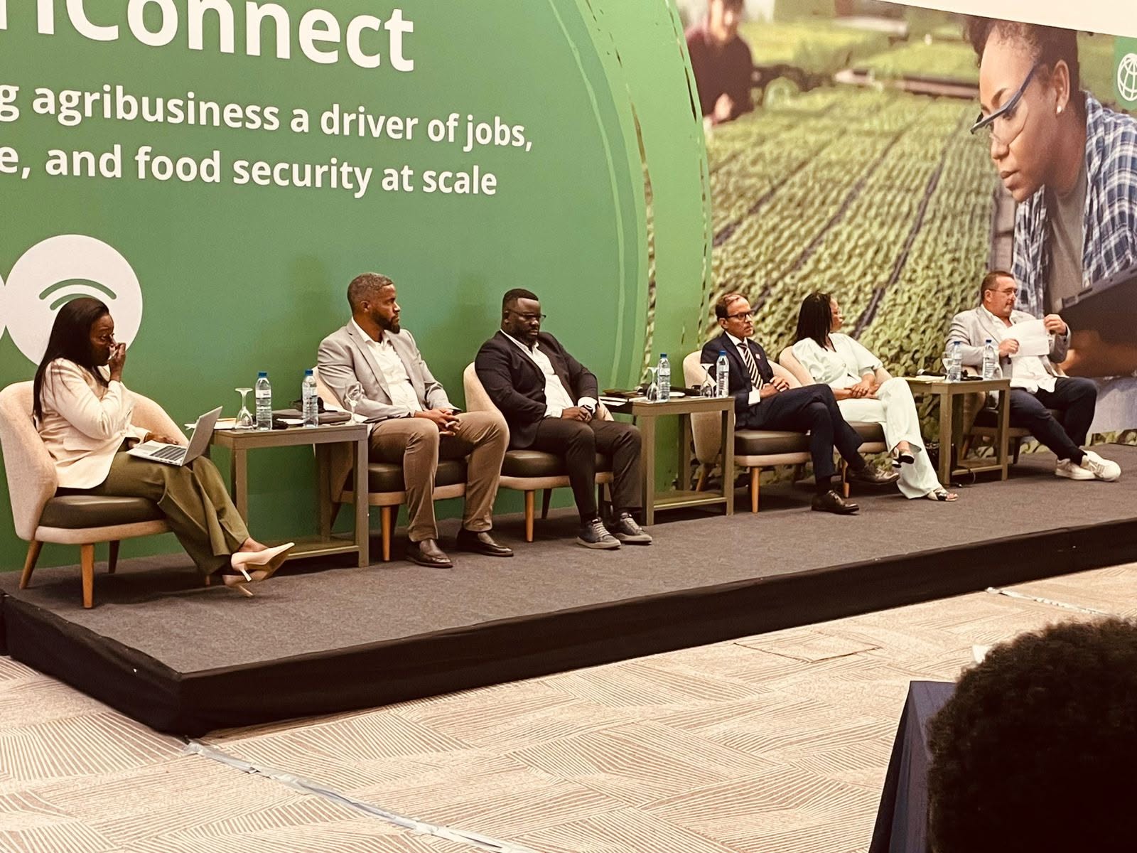 Cooperativas africanas traçam estratégias para comércio sustentável