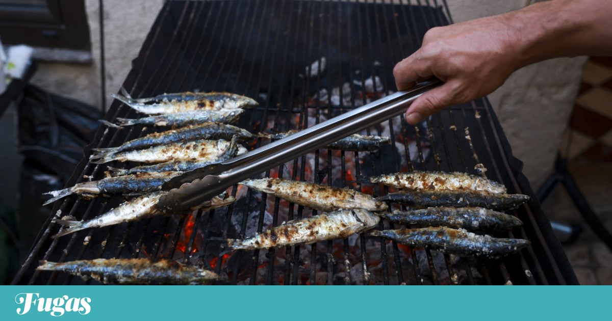 Sardinha e não só: festas e feiras para um Verão com sabor a rio e mar