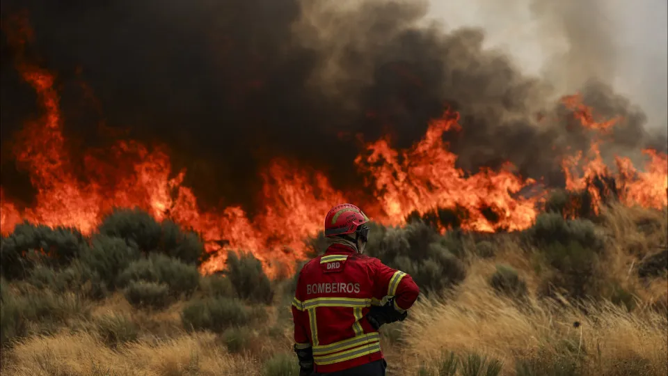 Fogo em Odemira combatido por mais de 140 operacionais