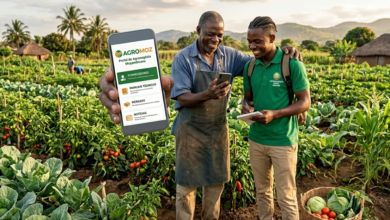 AgroMoz-A-plataforma-digital-que-quer-transformar-a-agricultura-familiar-em-Mocambique
